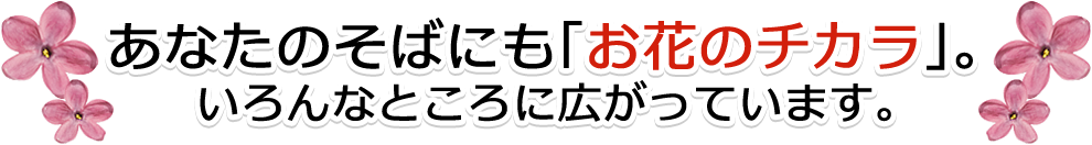 あなたのそばにも「お花のチカラ」。いろんなところに広がっています。